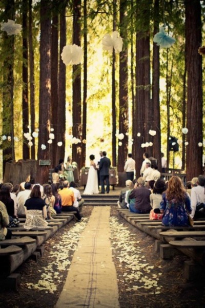 Wedding in the Woods